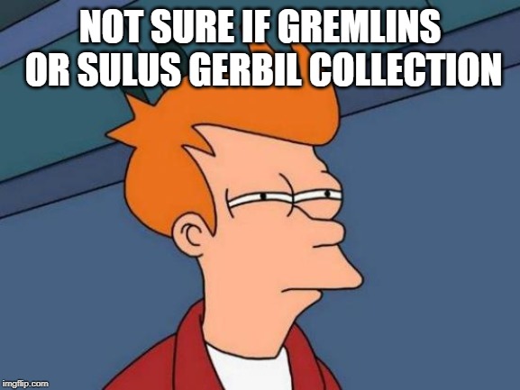 Futurama Fry Meme | NOT SURE IF GREMLINS OR SULUS GERBIL COLLECTION | image tagged in memes,futurama fry | made w/ Imgflip meme maker