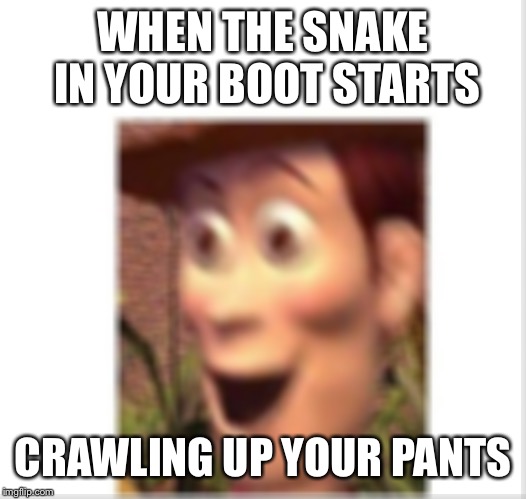 Woody | WHEN THE SNAKE IN YOUR BOOT STARTS; CRAWLING UP YOUR PANTS | image tagged in woody | made w/ Imgflip meme maker