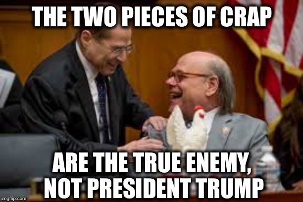 THE TWO PIECES OF CRAP; ARE THE TRUE ENEMY, NOT PRESIDENT TRUMP | image tagged in democrat congressmen,democrats | made w/ Imgflip meme maker