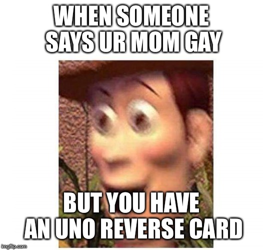 Woody | WHEN SOMEONE SAYS UR MOM GAY; BUT YOU HAVE AN UNO REVERSE CARD | image tagged in woody | made w/ Imgflip meme maker
