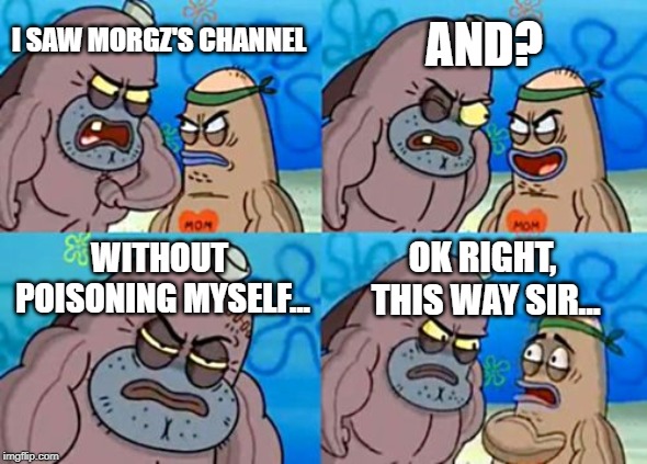 How Tough Are You | AND? I SAW MORGZ'S CHANNEL; WITHOUT POISONING MYSELF... OK RIGHT, THIS WAY SIR... | image tagged in memes,how tough are you | made w/ Imgflip meme maker