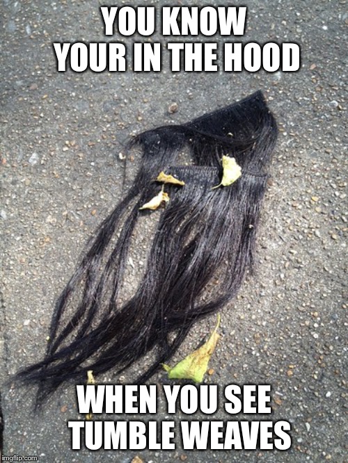 Tumble weave | YOU KNOW YOUR IN THE HOOD; WHEN YOU SEE 
TUMBLE WEAVES | image tagged in funny memes | made w/ Imgflip meme maker