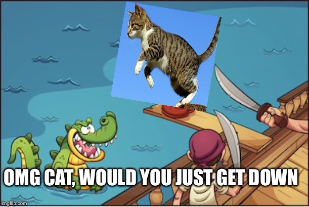 Can you believe the gull of this thing, all the time | OMG CAT, WOULD YOU JUST GET DOWN | image tagged in here kitty kitty kitty | made w/ Imgflip meme maker