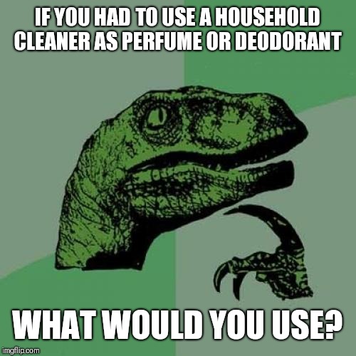 Arm and hammer baking soda | IF YOU HAD TO USE A HOUSEHOLD CLEANER AS PERFUME OR DEODORANT; WHAT WOULD YOU USE? | image tagged in memes,philosoraptor | made w/ Imgflip meme maker