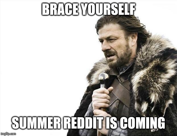 Brace Yourselves X is Coming Meme | BRACE YOURSELF; SUMMER REDDIT IS COMING | image tagged in memes,brace yourselves x is coming | made w/ Imgflip meme maker