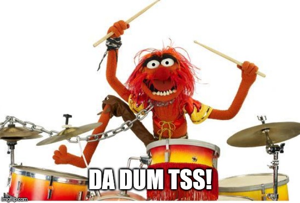 animal drums | DA DUM TSS! | image tagged in animal drums | made w/ Imgflip meme maker