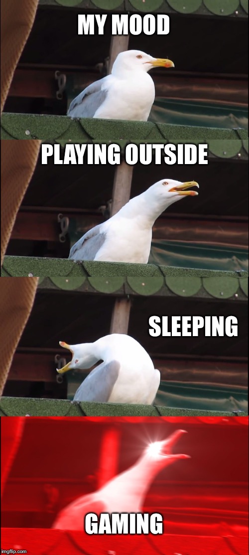 Inhaling Seagull Meme | MY MOOD; PLAYING OUTSIDE; SLEEPING; GAMING | image tagged in memes,inhaling seagull | made w/ Imgflip meme maker