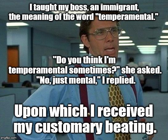 Please give this meme a title. | I taught my boss, an immigrant, the meaning of the word "temperamental."; "Do you think I'm temperamental sometimes?" she asked.  "No, just mental," I replied. Upon which I received my customary beating. | image tagged in temper | made w/ Imgflip meme maker