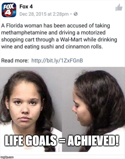 That's the Life | LIFE GOALS = ACHIEVED! | image tagged in meanwhile in florida | made w/ Imgflip meme maker