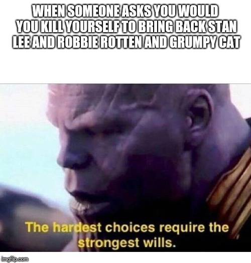 THANOS HARDEST CHOICES | WHEN SOMEONE ASKS YOU WOULD YOU KILL YOURSELF TO BRING BACK STAN LEE AND ROBBIE ROTTEN AND GRUMPY CAT | image tagged in thanos hardest choices | made w/ Imgflip meme maker