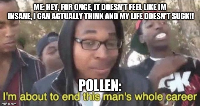 I’m about to end this man’s whole career | ME: HEY, FOR ONCE, IT DOESN'T FEEL LIKE IM INSANE, I CAN ACTUALLY THINK AND MY LIFE DOESN'T SUCK!! POLLEN: | image tagged in im about to end this mans whole career | made w/ Imgflip meme maker