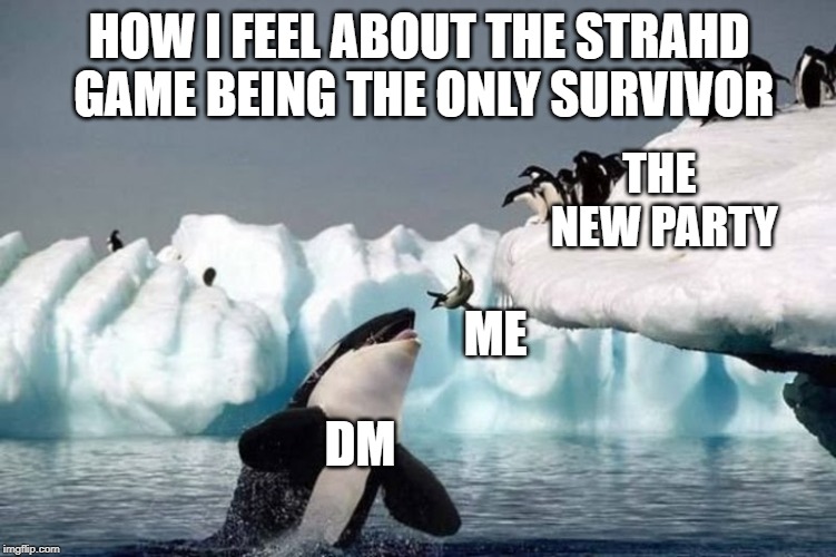 Killer Whale And Seal | HOW I FEEL ABOUT THE STRAHD GAME BEING THE ONLY SURVIVOR; THE NEW PARTY; ME; DM | image tagged in killer whale and seal | made w/ Imgflip meme maker