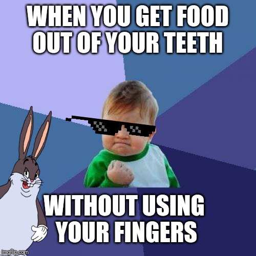 Success Kid | WHEN YOU GET FOOD OUT OF YOUR TEETH; WITHOUT USING YOUR FINGERS | image tagged in memes,success kid | made w/ Imgflip meme maker