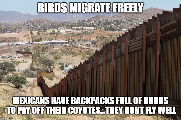 Border Wall 02 | BIRDS MIGRATE FREELY MEXICANS HAVE BACKPACKS FULL OF DRUGS TO PAY OFF THEIR COYOTES...THEY DONT FLY WELL | image tagged in border wall 02 | made w/ Imgflip meme maker