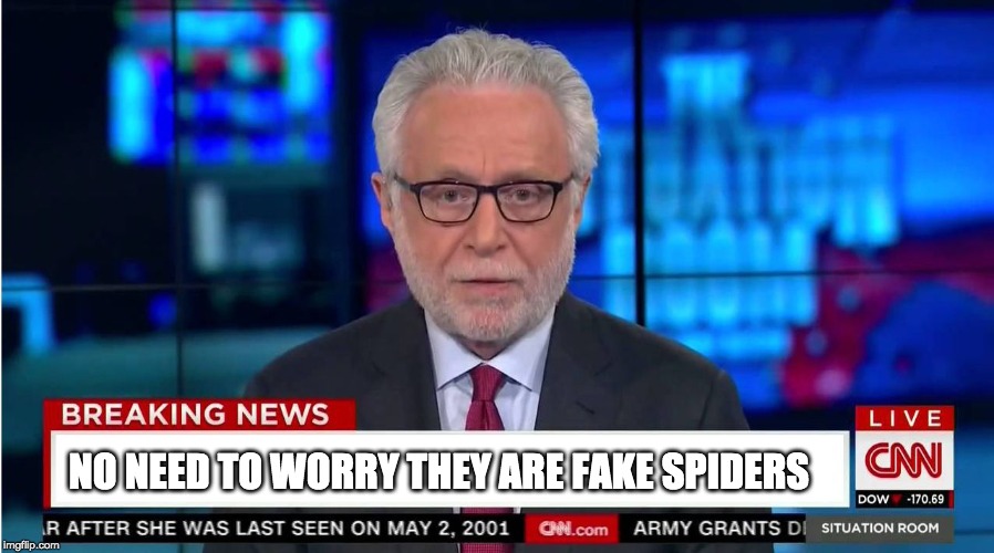 CNN "Wolf of Fake News" Fanfiction | NO NEED TO WORRY THEY ARE FAKE SPIDERS | image tagged in cnn wolf of fake news fanfiction | made w/ Imgflip meme maker