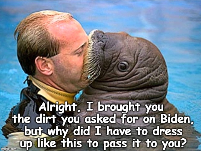 Ugh, you taste like fish! | Alright, I brought you the dirt you asked for on Biden, but why did I have to dress up like this to pass it to you? | image tagged in trump,dirt,biden,walrus | made w/ Imgflip meme maker
