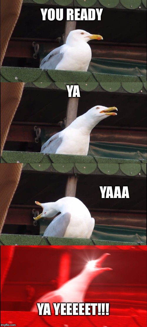 Inhaling Seagull Meme | YOU READY; YA; YAAA; YA YEEEEET!!! | image tagged in memes,inhaling seagull | made w/ Imgflip meme maker