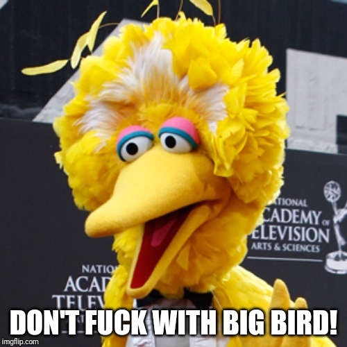 Big Bird Meme | DON'T F**K WITH BIG BIRD! | image tagged in memes,big bird | made w/ Imgflip meme maker