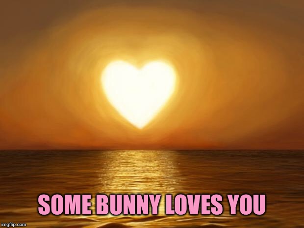 Love | SOME BUNNY LOVES YOU | image tagged in love | made w/ Imgflip meme maker