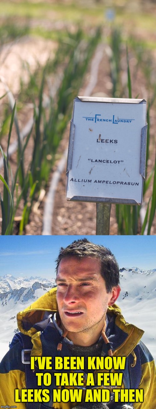 I’VE BEEN KNOW TO TAKE A FEW LEEKS NOW AND THEN | image tagged in memes,bear grylls | made w/ Imgflip meme maker