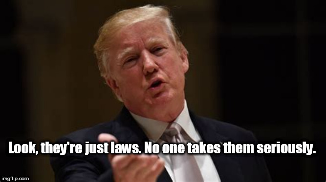 Look, they're just laws. No one takes them seriously. | image tagged in trump,constitution | made w/ Imgflip meme maker