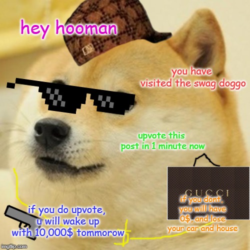 Doge Meme | hey hooman; you have visited the swag doggo; upvote this post in 1 minute now; if you dont, you will have 0$, and lose your car and house; if you do upvote, u will wake up with 10,000$ tommorow | image tagged in memes,doge | made w/ Imgflip meme maker