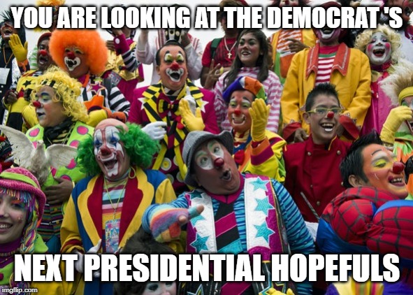 the DNC's presidential hopefuls | YOU ARE LOOKING AT THE DEMOCRAT 'S; NEXT PRESIDENTIAL HOPEFULS | image tagged in the dnc's presidential hopefuls | made w/ Imgflip meme maker