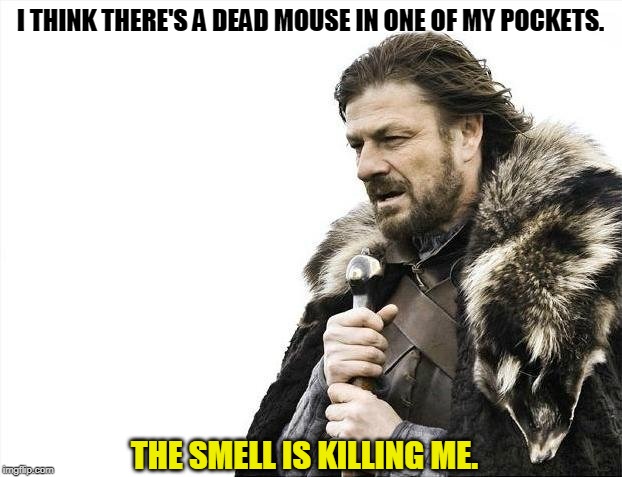 Brace Yourselves X is Coming Meme | I THINK THERE'S A DEAD MOUSE IN ONE OF MY POCKETS. THE SMELL IS KILLING ME. | image tagged in memes,brace yourselves x is coming,mouse,smell | made w/ Imgflip meme maker