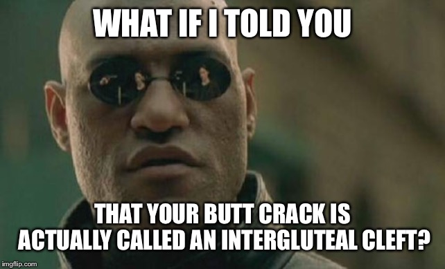Matrix Morpheus Meme | WHAT IF I TOLD YOU; THAT YOUR BUTT CRACK IS ACTUALLY CALLED AN INTERGLUTEAL CLEFT? | image tagged in memes,matrix morpheus | made w/ Imgflip meme maker