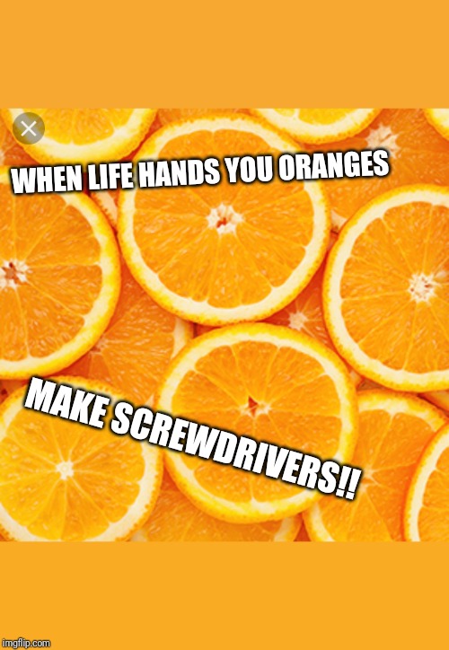Oranges | WHEN LIFE HANDS YOU ORANGES; MAKE SCREWDRIVERS!! | image tagged in oranges | made w/ Imgflip meme maker