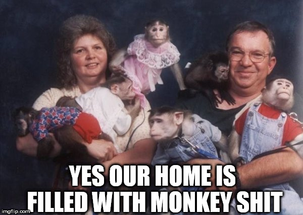 monkey | YES OUR HOME IS FILLED WITH MONKEY SHIT | image tagged in monkey | made w/ Imgflip meme maker