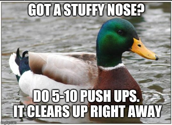 Actual Advice Mallard Meme | GOT A STUFFY NOSE? DO 5-10 PUSH UPS. IT CLEARS UP RIGHT AWAY | image tagged in memes,actual advice mallard | made w/ Imgflip meme maker