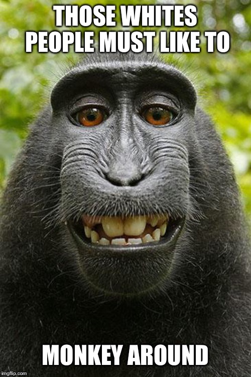 monkey selfie | THOSE WHITES PEOPLE MUST LIKE TO MONKEY AROUND | image tagged in monkey selfie | made w/ Imgflip meme maker