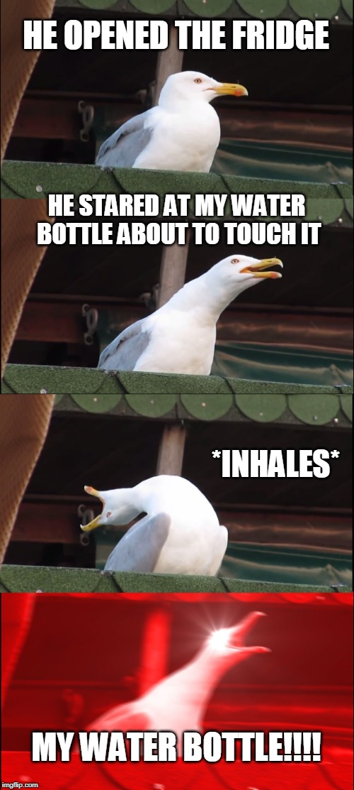 Inhaling Seagull | HE OPENED THE FRIDGE; HE STARED AT MY WATER BOTTLE ABOUT TO TOUCH IT; *INHALES*; MY WATER BOTTLE!!!! | image tagged in memes,inhaling seagull | made w/ Imgflip meme maker