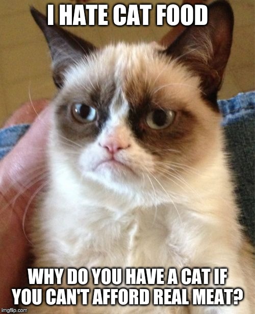 Grumpy Cat Meme | I HATE CAT FOOD; WHY DO YOU HAVE A CAT IF YOU CAN'T AFFORD REAL MEAT? | image tagged in memes,grumpy cat | made w/ Imgflip meme maker