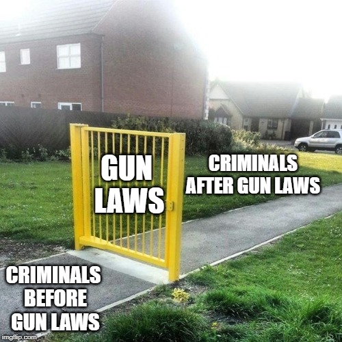 GUN LAWS; CRIMINALS AFTER GUN LAWS; CRIMINALS BEFORE GUN LAWS | image tagged in guns,gun laws,libertarian,democrats,republicans,right to bear arms | made w/ Imgflip meme maker
