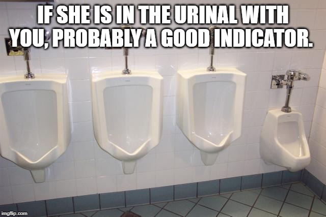 Men's Room Urinals | IF SHE IS IN THE URINAL WITH YOU, PROBABLY A GOOD INDICATOR. | image tagged in men's room urinals | made w/ Imgflip meme maker