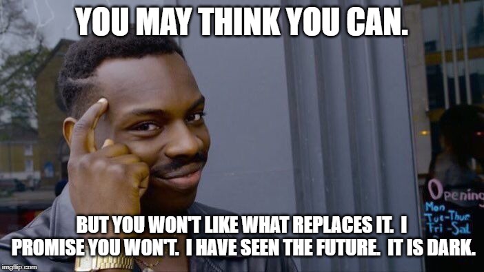 Roll Safe Think About It Meme | YOU MAY THINK YOU CAN. BUT YOU WON'T LIKE WHAT REPLACES IT.  I PROMISE YOU WON'T.  I HAVE SEEN THE FUTURE.  IT IS DARK. | image tagged in memes,roll safe think about it | made w/ Imgflip meme maker