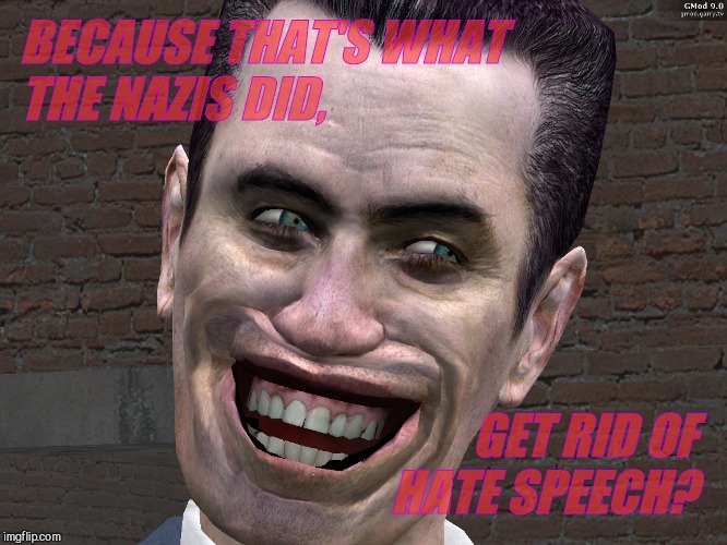 . | BECAUSE THAT'S WHAT THE NAZIS DID, GET RID OF HATE SPEECH? | image tagged in g-man from half-life | made w/ Imgflip meme maker