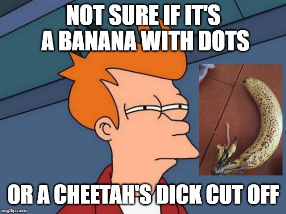 Futurama Fry Meme | NOT SURE IF IT'S A BANANA WITH DOTS; OR A CHEETAH'S DICK CUT OFF | image tagged in memes,futurama fry | made w/ Imgflip meme maker