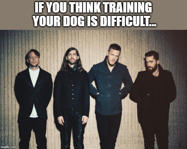 Well, you'd probably get it if you know these guys. | IF YOU THINK TRAINING YOUR DOG IS DIFFICULT... | image tagged in imagine dragons | made w/ Imgflip meme maker