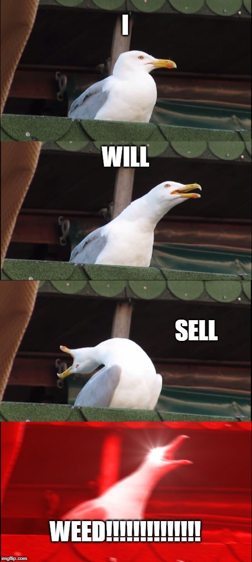 Inhaling Seagull Meme | I WILL SELL WEED!!!!!!!!!!!!!! | image tagged in memes,inhaling seagull | made w/ Imgflip meme maker