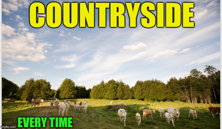 EVERY TIME COUNTRYSIDE | made w/ Imgflip meme maker