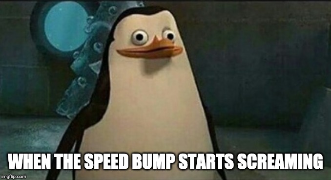 Confused Private Penguin | WHEN THE SPEED BUMP STARTS SCREAMING | image tagged in confused private penguin | made w/ Imgflip meme maker
