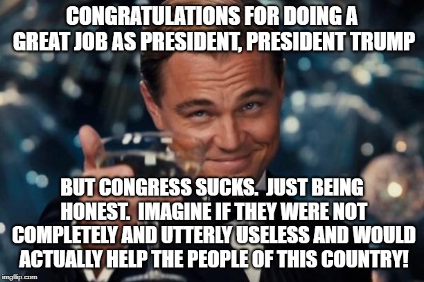 Leonardo Dicaprio Cheers Meme | CONGRATULATIONS FOR DOING A GREAT JOB AS PRESIDENT, PRESIDENT TRUMP; BUT CONGRESS SUCKS.  JUST BEING HONEST.  IMAGINE IF THEY WERE NOT COMPLETELY AND UTTERLY USELESS AND WOULD ACTUALLY HELP THE PEOPLE OF THIS COUNTRY! | image tagged in memes,leonardo dicaprio cheers | made w/ Imgflip meme maker