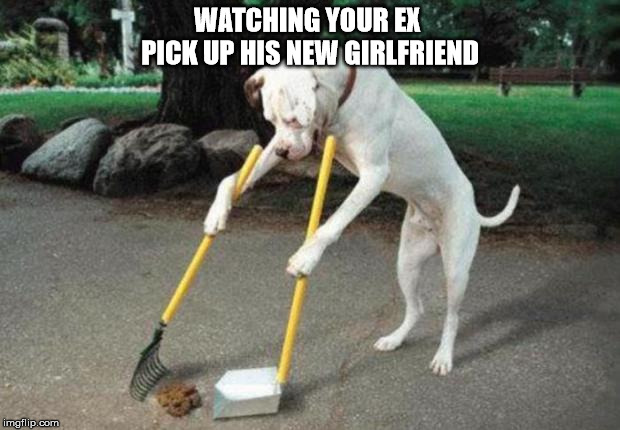 EX partner | WATCHING YOUR EX PICK UP HIS NEW GIRLFRIEND | image tagged in dog poop | made w/ Imgflip meme maker