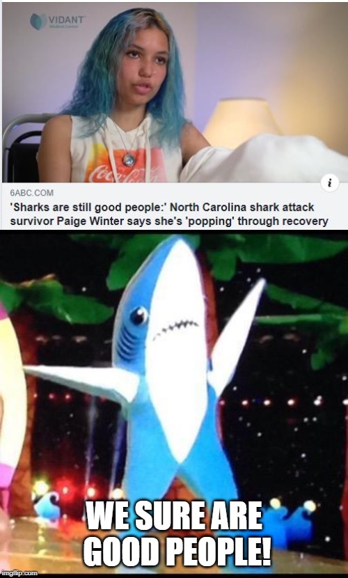 Wonderful Sharks | WE SURE ARE GOOD PEOPLE! | image tagged in left shark | made w/ Imgflip meme maker