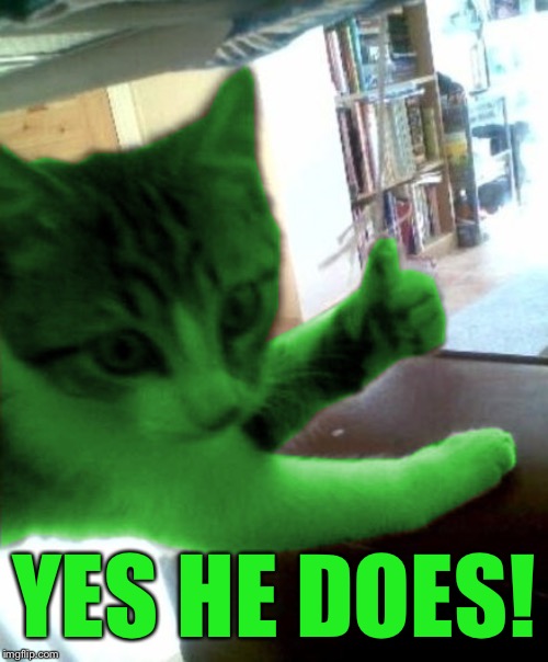 thumbs up RayCat | YES HE DOES! | image tagged in thumbs up raycat | made w/ Imgflip meme maker