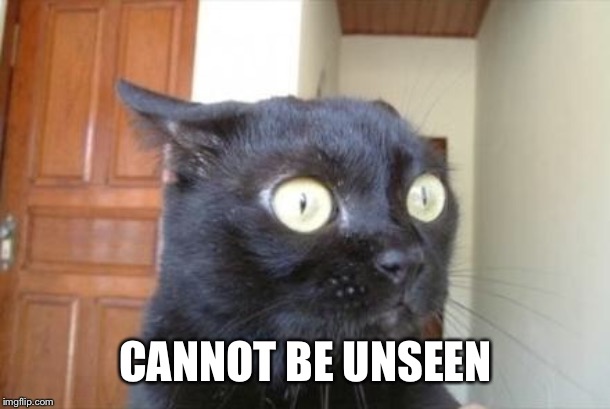 Cannot Be Unseen Cat | CANNOT BE UNSEEN | image tagged in cannot be unseen cat | made w/ Imgflip meme maker