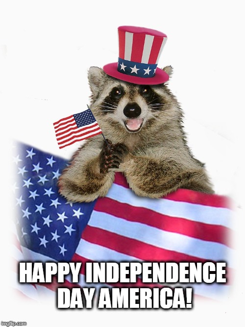 2019 | HAPPY INDEPENDENCE DAY AMERICA! | image tagged in independence day,4th of july,american holidays | made w/ Imgflip meme maker